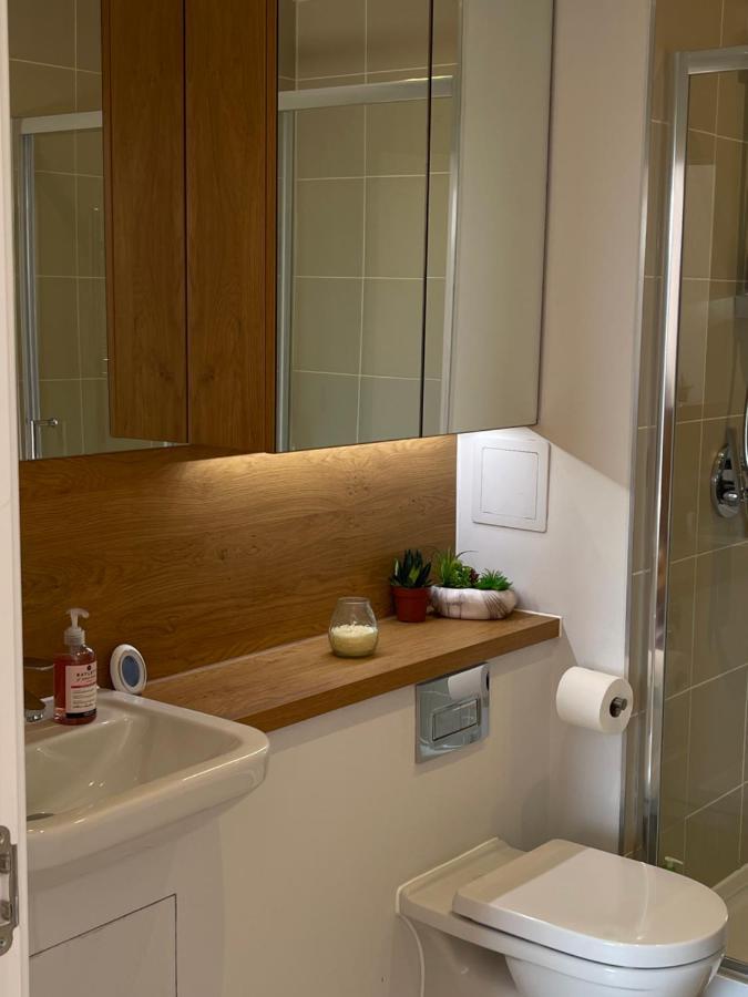 Bright Spacious En-Suite Room W/ London Views - 8Min From London Bridge! Екстер'єр фото